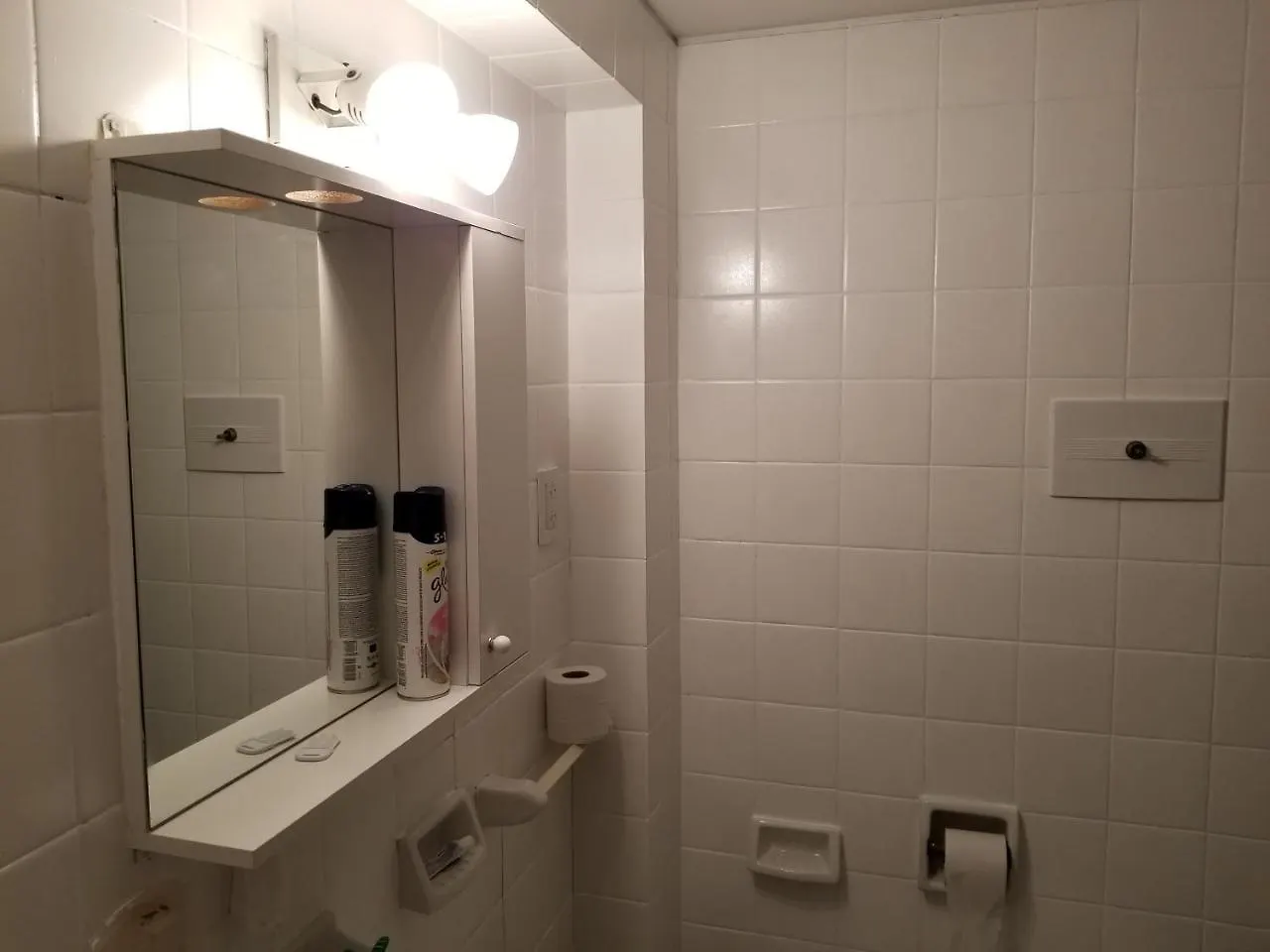 Apartament Peatonal Mendoza